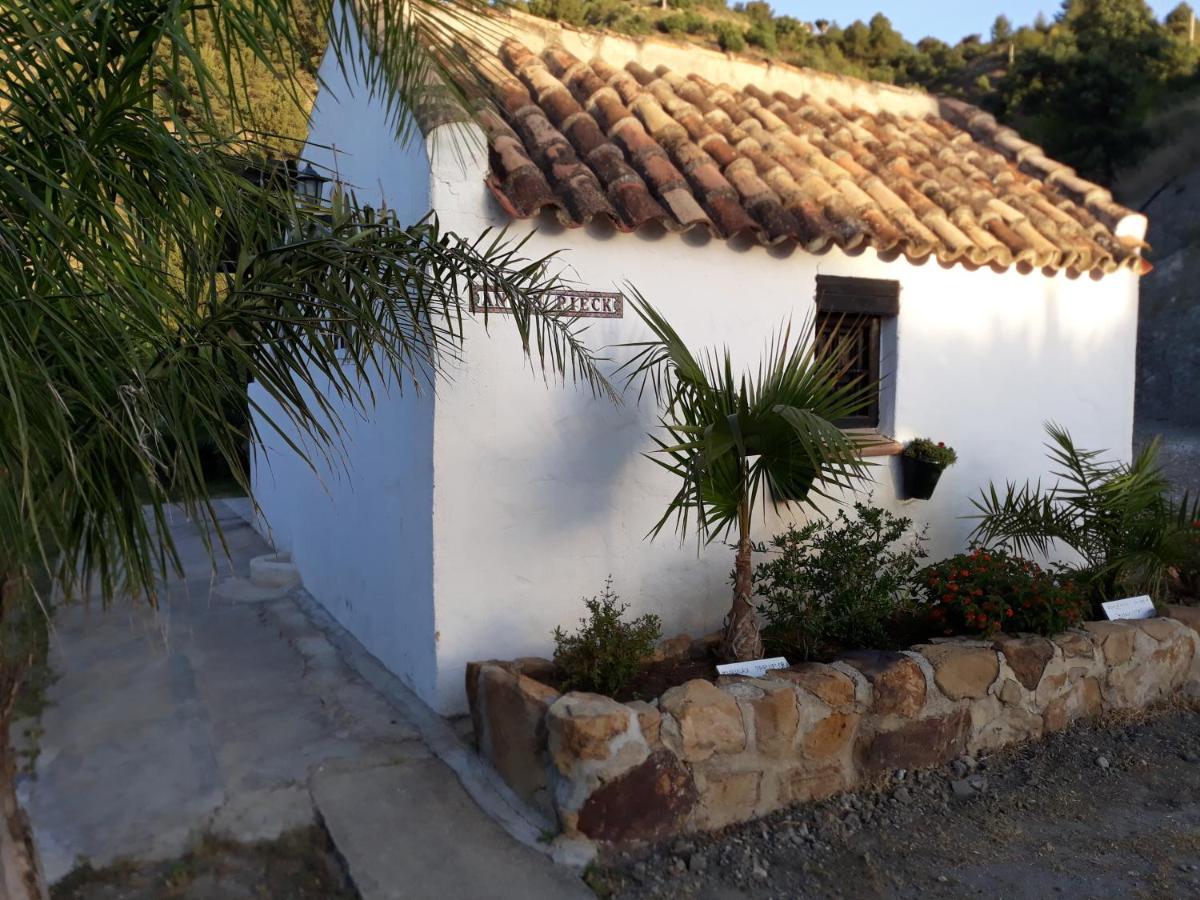 Tiny House 12M2 In Holiday Park With 55 M2 Pool Tolox Exterior foto